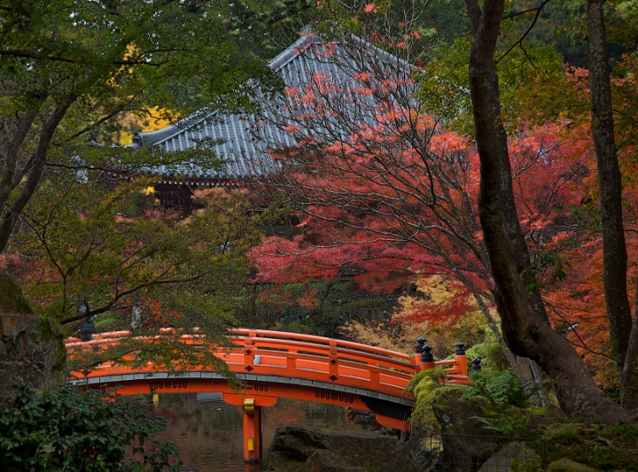 Daigo-ji Bridge 11-3283.jpg